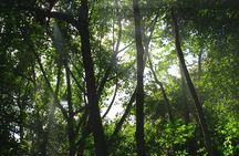 Taino Valley Tropical Park Puerto Plata Tubagua