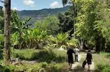 Taino Valley Tropical Park Puerto Plata Tubagua
