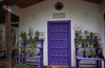 Ex hacienda, rancho de lavanda y Val'Quirico (private tour)