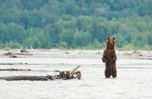 Private Group Eagle Preserve Float Trip in Haines