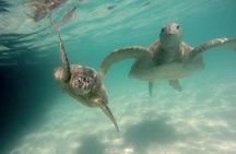 Kaneohe Sandbar Snorkeling Tour - 2nd Tour