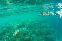 Kaneohe Sandbar Snorkeling Tour - 2nd Tour