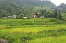 Mai Chau – Pu Luong 2D1N