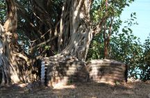 Darwin Walking Tour: World War II Reflections