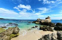 Premium Full Day Tour