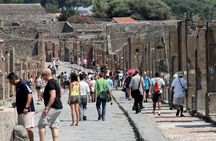 Pompeii and Vesuvius Experience from Naples - Skip the line -