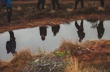 Bog-shoe Hiking Tour