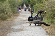 2-Hour Guided Segway Tour of Huntington Beach State Park in Myrtle Beach