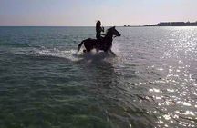 2 Hour - Horseback Ride Across Desert and Sea in Hurghada