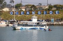 Shared Two-Hour Whale Watching Tour from Oceanside