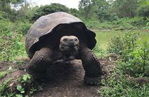 Giant Tortoise Reserve - Lava Tubes ( Private Tour )