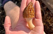 Backcountry Eats & Foraging Treats