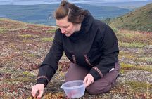 Backcountry Eats & Foraging Treats