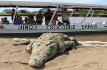 Puntarenas Private Shore Excursion: Crocodiles & Zipline