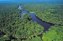 7-in-1 Combo Tour: Tortuguero Canals Shore Excursion