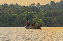Kumarakom Coconut Lagoons, Paddies, Birds, & Fish Experience Tour