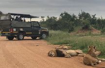 Full Day Kruger National Park Game Drive