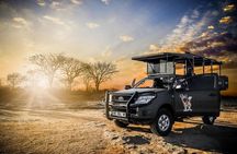 Kruger National Park Private Guided Tour