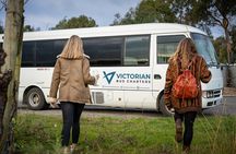 Private Yarra Valley Tour