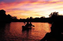 Bohol: Firefly Kayaking with Dinner