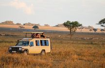 4 Day Great Migration Safari Serengeti & Ngorongoro Crater 