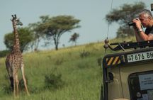 4 Day Great Migration Safari Serengeti & Ngorongoro Crater 