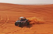 Top premium Desert safari with BBQ DINNER