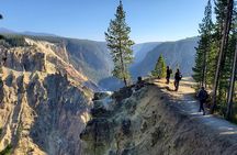 Grand Canyon of the Yellowstone Rim and Loop Hike with Lunch
