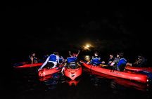 Puerto Rico Sunset Magic: Bio Bay Kayaking Tour from Fajardo