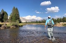 Private High Country Fly Fishing Adventure