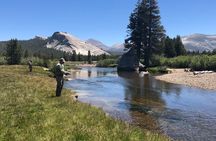 Private High Country Fly Fishing Adventure