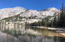 Private High Country Fly Fishing Adventure