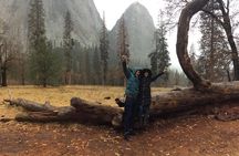 Yosemite Valley Discovery Walk