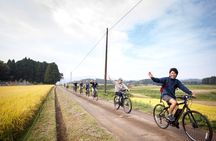 Guided Cycling tour in Hagi with Sake Brewery Visit