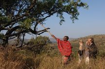  Discover Our Best 4 Day Serengeti Migration Safari From Mwanza