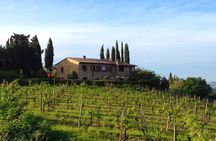 Private wine & Evo Oils Tasting with Vegetarian Meal
