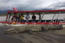  Crocodile Jungle River Safari & Puntarenas Cultural Highlights