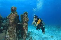 Two Tanks Scuba Diving for Beginners in Cancun