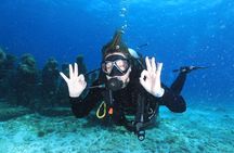 2 Tanks Dives Cancun Underwater Museum for Certified Divers
