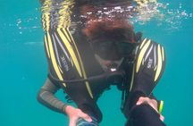 Padi open water diver course (Start at Ko Kut)