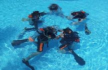 Padi open water diver course (Start at Ko Kut)