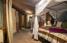Kilimanjaro Special-( Tsavo West, Amboseli & Tsavo East Safari) (MINIMUM 2 PAX)