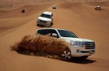 Evening Desert Safari & BBQ With Live Shows,Camel Ride,Falcon pic