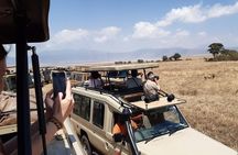 5 Days Private Budget Lodge Safari to Serengeti & Ngorongoro