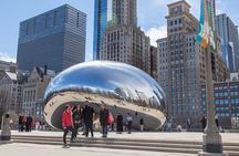Chicago Architecture & Highlights with Local Treat