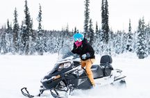 Snowmobile Tour in Fairbanks