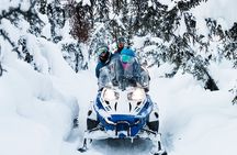 Snowmobile Tour in Fairbanks