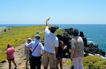 4-Day Wildlife Tour in Santa Cruz Island