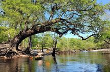 Kayak River Tour to a Private Island