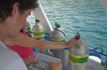 2 Tank Boat Dives for Certified Divers